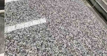 固原 芙蓉白光面