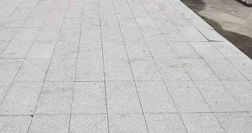 固原芝麻白地铺案例