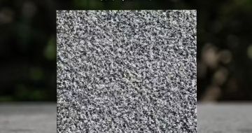 固原 芝麻黑荔枝面