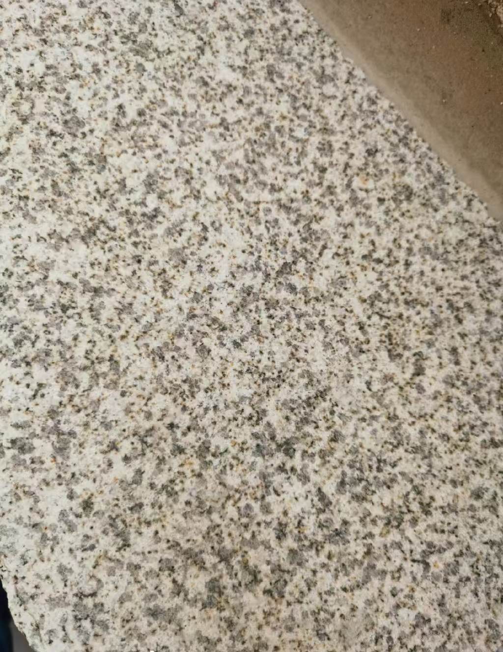 固原 黄金麻中黄光面
