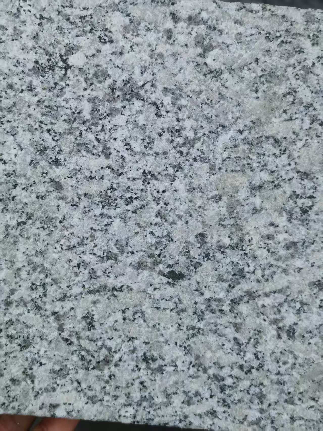 固原 芙蓉白火烧面