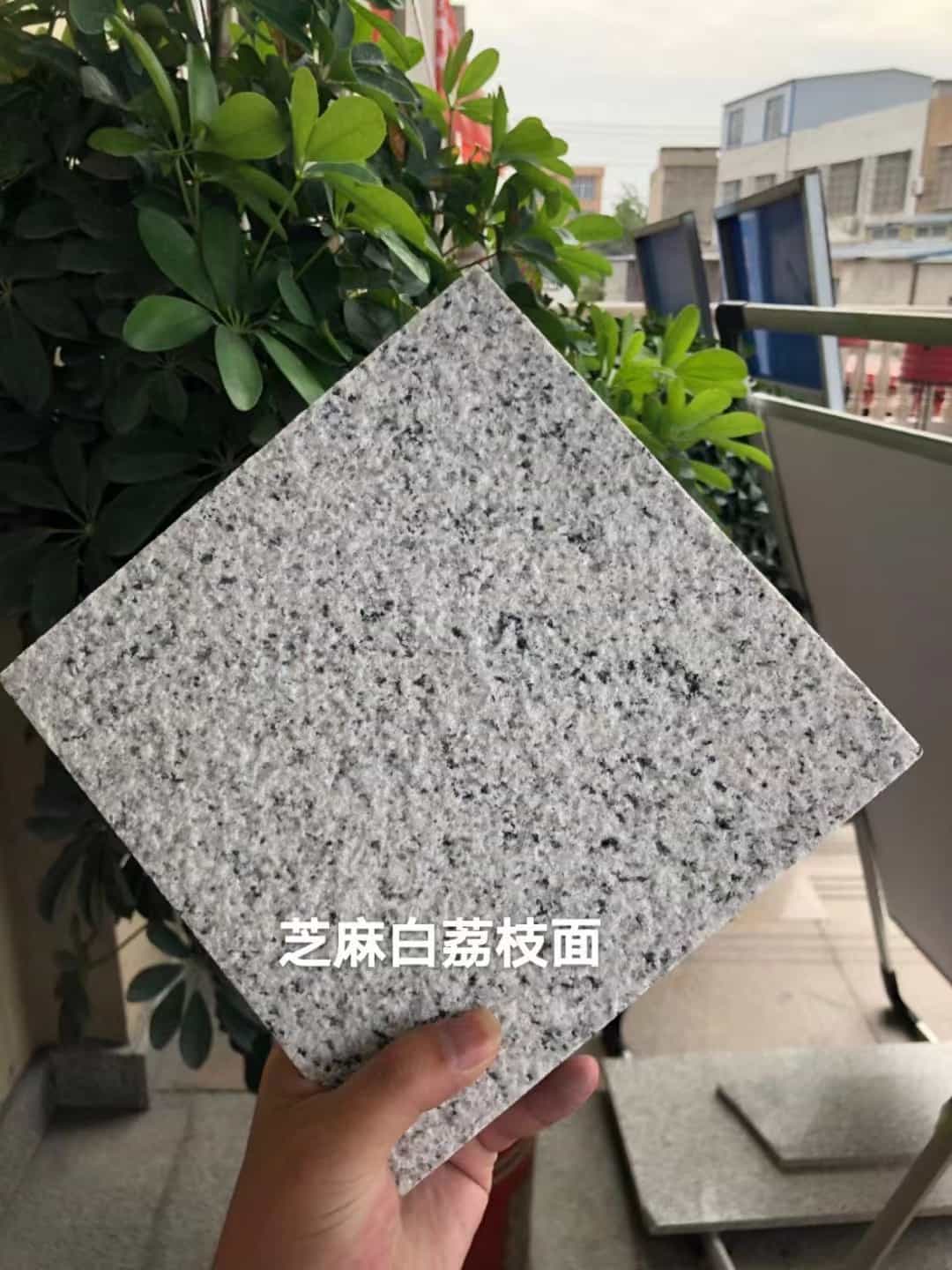 固原 芝麻白荔枝面干挂