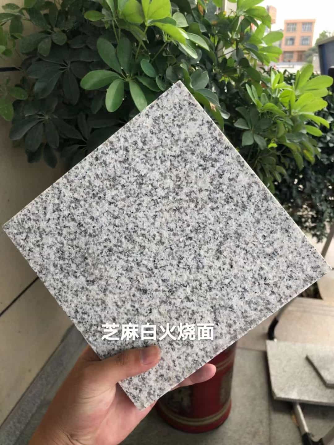 固原芝麻白火烧面地铺