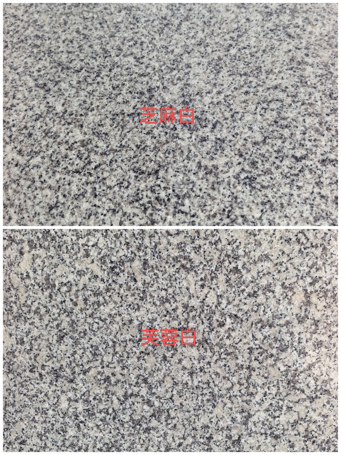 固原 芝麻白和芙蓉白的区别